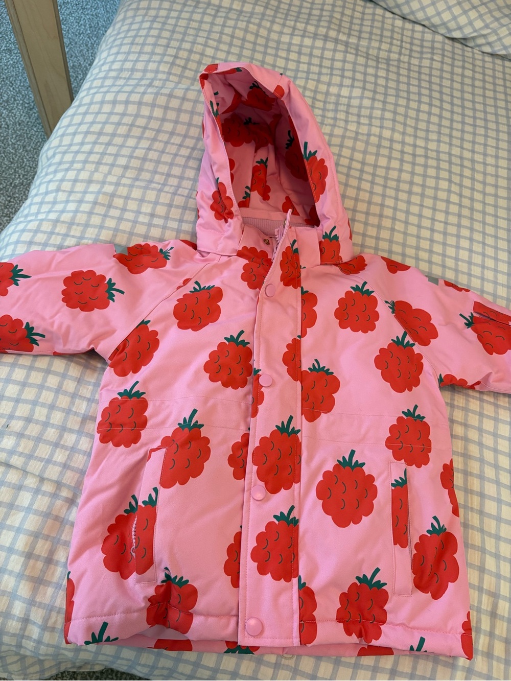 Kids Pink Hooded Puffer Jacket with Red Berry Print